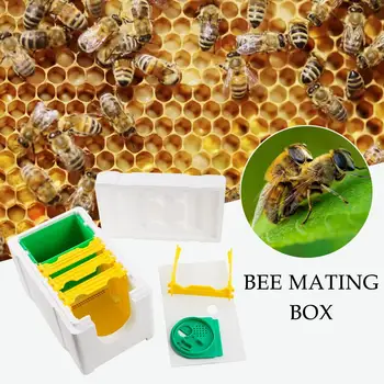 Нова Кралицата Пчела, Выращивающая Спаривающийся Кошер, Инструменти За Пчеларството, Полистирен Кутии, Доставчици на Кошерите, Bee Кошера За Опрашване M3Y6